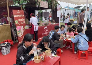 A Culinary Journey: Exploring Unique Flavors at the Hanoi Pho Festival - image 7