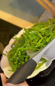 Female Singer Gains Praise After Preparing Heartfelt Meal for Her Mother - image 15