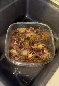 Female Singer Gains Praise After Preparing Heartfelt Meal for Her Mother - image 11
