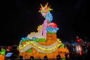 Taiwan Lantern Festival: A Spectacular Display of Light and Culture Attracting Thousands - image 5