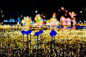 Taiwan Lantern Festival: A Spectacular Display of Light and Culture Attracting Thousands - image 9