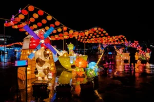 Taiwan Lantern Festival: A Spectacular Display of Light and Culture Attracting Thousands - image 7
