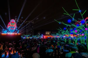 Taiwan Lantern Festival: A Spectacular Display of Light and Culture Attracting Thousands - image 6