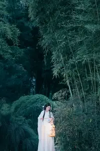 YiTuYu Vol.8687: Su Su - An East Asian Muse's Ethereal Night Tale - image 14