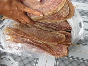 Discover the Unique Vietnamese Dried Snake Specialty from the Mekong Delta - image 3