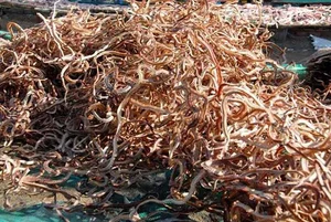 Discover the Unique Vietnamese Dried Snake Specialty from the Mekong Delta - image 5