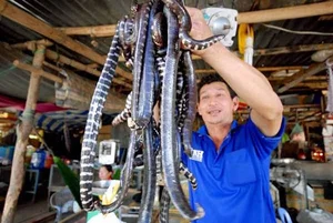 Discover the Unique Vietnamese Dried Snake Specialty from the Mekong Delta - image 1