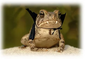 Discovering Vietnam's Most Bizarre and Terrifyingly Named Unique Animals - image 0
