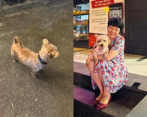 A Mother's Heart: MC Thao Van Shares the Reality of Her Son's Hardworking Student Life - image 3