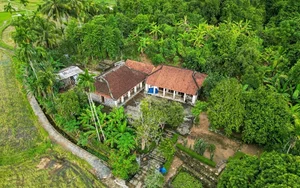Incredible 200-Year-Old Jackwood House Preserved in Quang Nam - image 3
