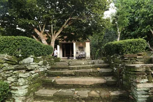 Incredible 200-Year-Old Jackwood House Preserved in Quang Nam - image 9