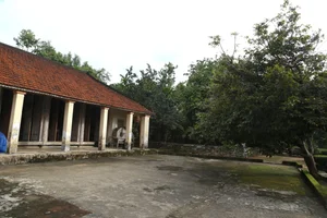 Incredible 200-Year-Old Jackwood House Preserved in Quang Nam - image 0