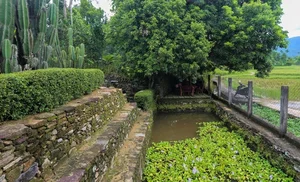 Incredible 200-Year-Old Jackwood House Preserved in Quang Nam - image 6