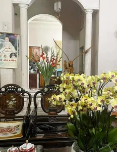 Inside the Stunning 3-Story Home of Beloved Comedian Huong Tuoi - image 4