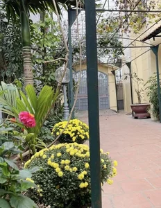 Inside the Stunning 3-Story Home of Beloved Comedian Huong Tuoi - image 3