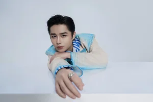 The Viral Moment a Male Singer Admired Diep Lam Anh - image 5