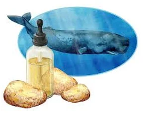 Ambergris: The Incredible Value of 'Floating Gold' Found at Sea - image 2