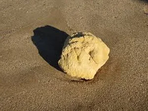 Ambergris: The Incredible Value of 'Floating Gold' Found at Sea - image 3