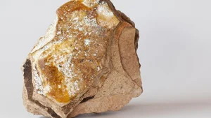 Ambergris: The Incredible Value of 'Floating Gold' Found at Sea - image 5