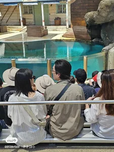 Double Date at the Zoo? Taylor Swift-Travis Kelce and Sooyoung-Jung Kyung Ho Spotted in Sydney - image 5