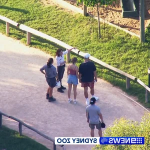 Double Date at the Zoo? Taylor Swift-Travis Kelce and Sooyoung-Jung Kyung Ho Spotted in Sydney - image 8