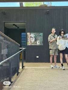 Double Date at the Zoo? Taylor Swift-Travis Kelce and Sooyoung-Jung Kyung Ho Spotted in Sydney - image 7