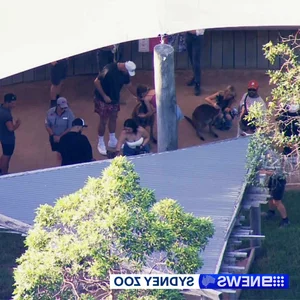 Double Date at the Zoo? Taylor Swift-Travis Kelce and Sooyoung-Jung Kyung Ho Spotted in Sydney - image 2