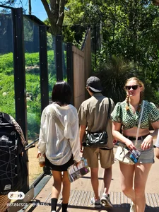 Double Date at the Zoo? Taylor Swift-Travis Kelce and Sooyoung-Jung Kyung Ho Spotted in Sydney - image 6