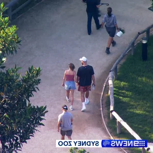 Double Date at the Zoo? Taylor Swift-Travis Kelce and Sooyoung-Jung Kyung Ho Spotted in Sydney - image 3