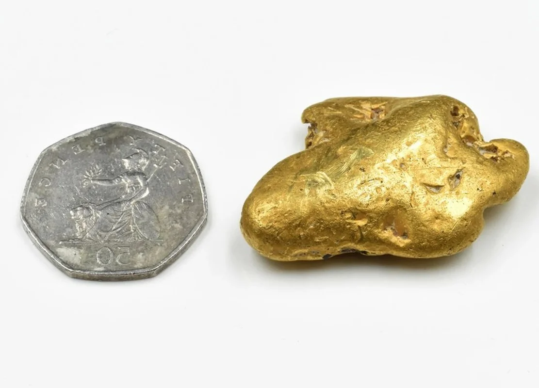 Life-Changing Discovery: Poor Worker Finds Giant Gold Nugget