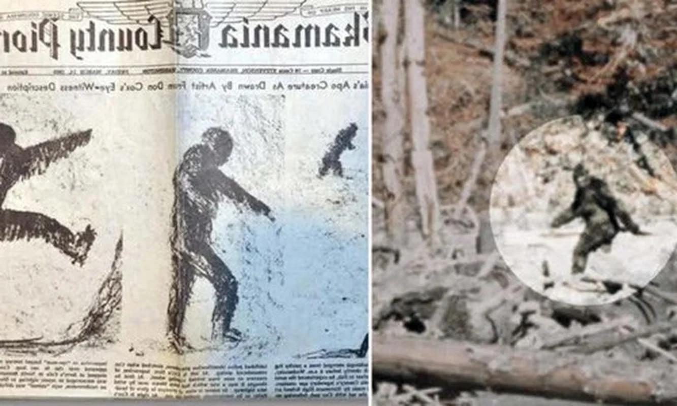 Bigfoot Revelations: Science vs. Legend in the Search for Sasquatch