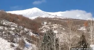 Bigfoot Revelations: Science vs. Legend in the Search for Sasquatch - image 8