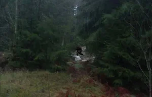 Bigfoot Revelations: Science vs. Legend in the Search for Sasquatch - image 5