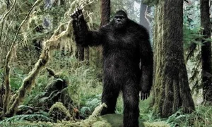 Bigfoot Revelations: Science vs. Legend in the Search for Sasquatch - image 6