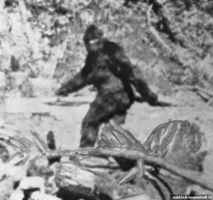 Bigfoot Revelations: Science vs. Legend in the Search for Sasquatch - image 2