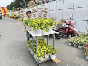 The Return of Can Tho Art Flower Street: A Vibrant Cultural Revival in the Mekong Delta - image 3