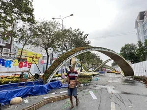 The Return of Can Tho Art Flower Street: A Vibrant Cultural Revival in the Mekong Delta - image 4