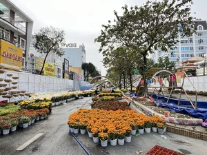 The Return of Can Tho Art Flower Street: A Vibrant Cultural Revival in the Mekong Delta - image 8