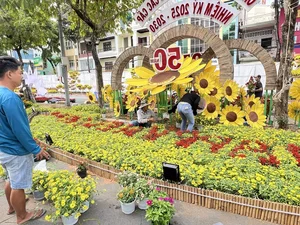 The Return of Can Tho Art Flower Street: A Vibrant Cultural Revival in the Mekong Delta - image 11