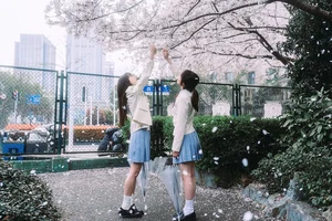 Sweet Aesthetics in YiTuYu Art Language Vol.6861 Yi Kou Dian Xin - image 20