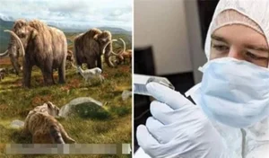 De-Extinction: 9 Fascinating Animals Scientists Are Working to Bring Back to Life - image 2