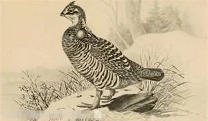 De-Extinction: 9 Fascinating Animals Scientists Are Working to Bring Back to Life - image 8