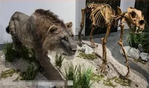 De-Extinction: 9 Fascinating Animals Scientists Are Working to Bring Back to Life - image 0