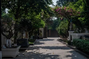 Inside Artist Quang Teo's Stunning 1,000m2 Castle-Like Garden House - image 2