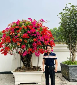 Inside Artist Quang Teo's Stunning 1,000m2 Castle-Like Garden House - image 4