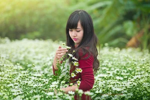 Stunning Vietnamese Girl Portraits: Pack 21 Aesthetic Photo Collection - image 32