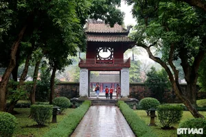 Why Indian Billionaires are Choosing Vietnam for Luxury Tourism - image 2
