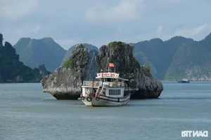 Why Indian Billionaires are Choosing Vietnam for Luxury Tourism - image 7
