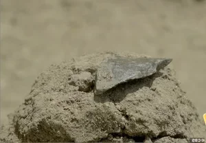 Mystery of the 3-Million-Year-Old Stone Tool Found in the Cradle of Humankind - image 5