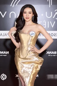Stunning Beauties Flaunt Elegant Figures on Miss Cosmo Vietnam Red Carpet - image 3